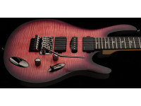 PRS SE Chleo Herman Li OD PRS SE Chleo Herman Li OD
